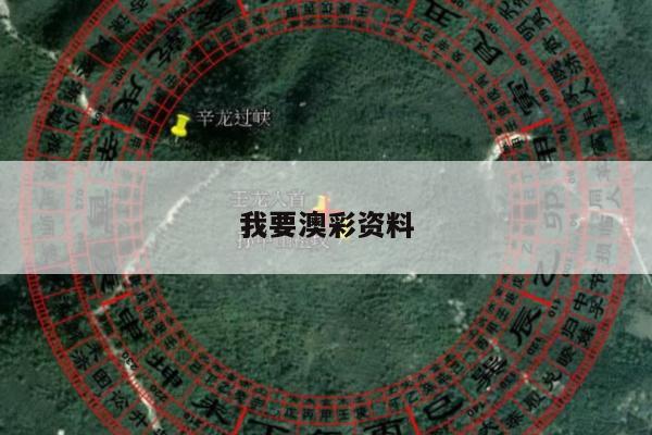 我要澳彩资料的简单介绍