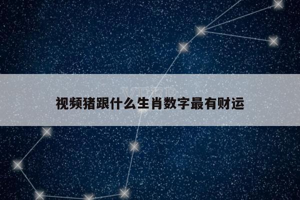 视频猪跟什么生肖数字最有财运