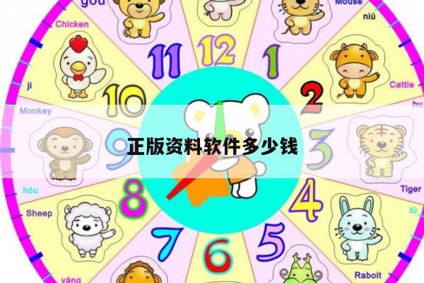 正版资料软件多少钱