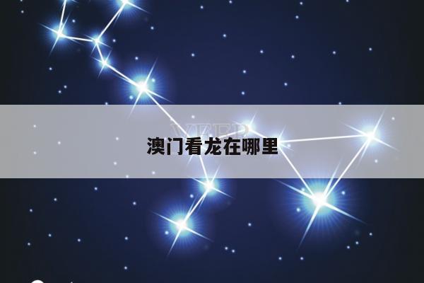 澳门看龙在哪里/澳门的龙