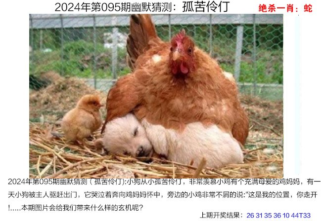 澳门马场资料最准一码,数据整合方案实施_投资版121,127.13