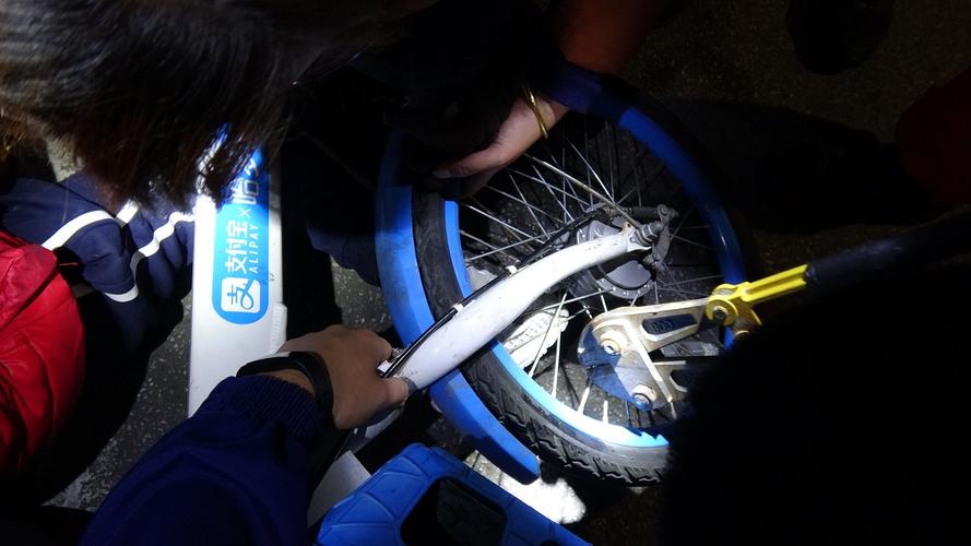 49图库图片资料大全:坐共享单车车篮摔死