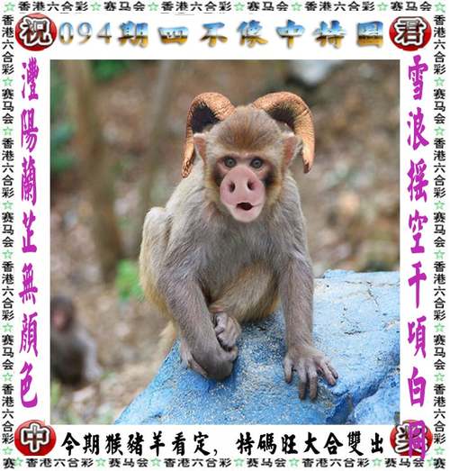澳门龙门客栈资料2022年:新手买金近40万被套