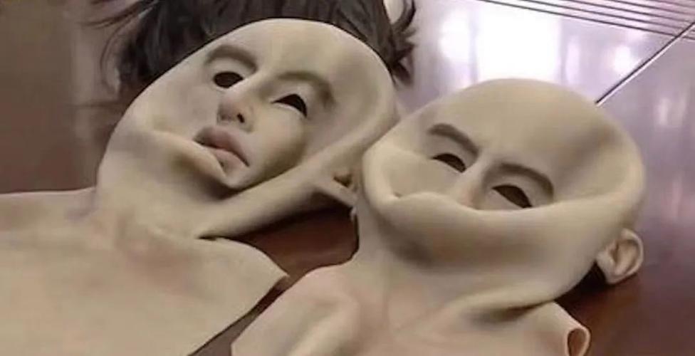收集各类澳门彩资料的网站有哪些:戴人皮面具入室盗窃