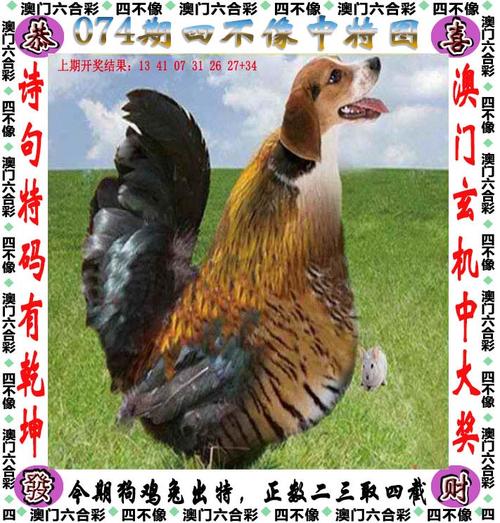 49tkcom澳彩资料图库正版资料下载:士兵在洛杉矶睡地板